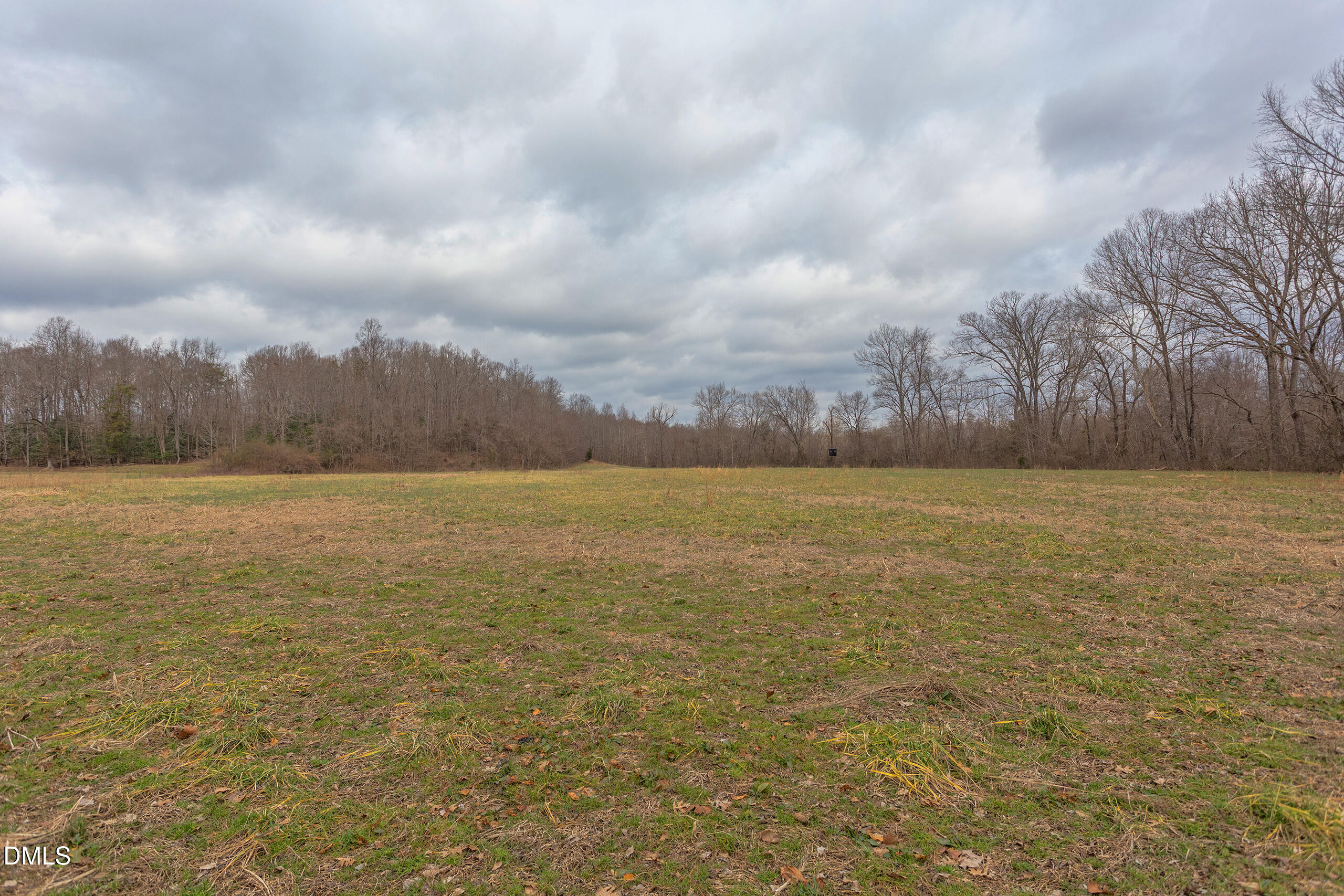 624 Bowen Road Rougemont, NC 27572 - Photo 14 of 20