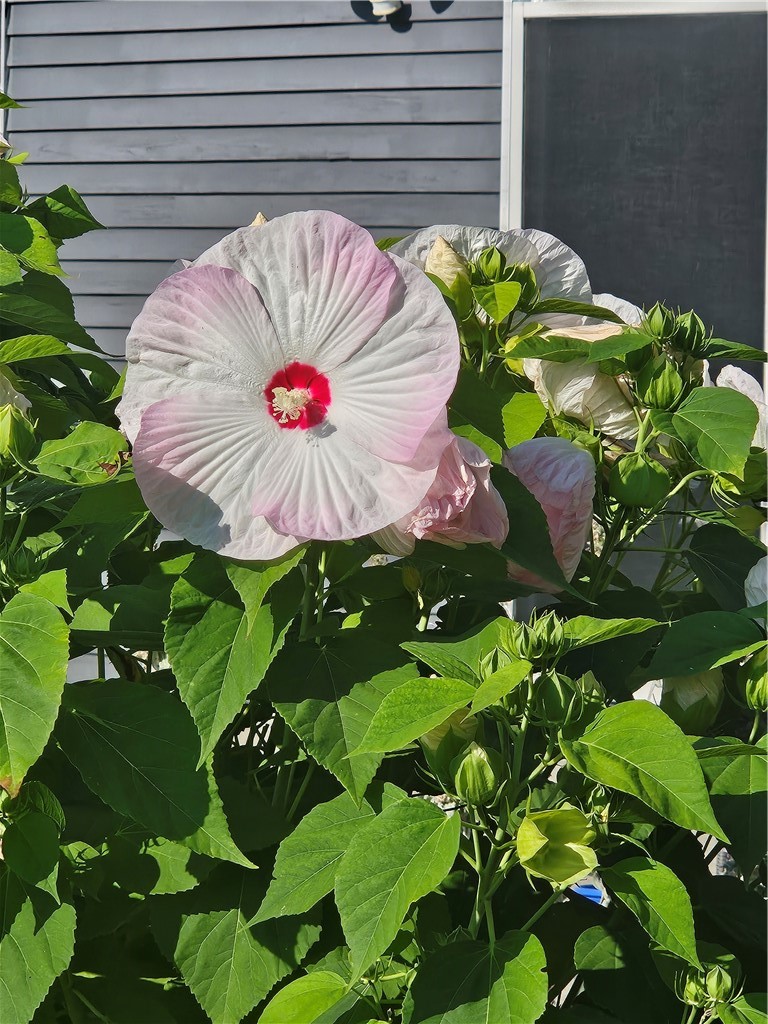 7 Taylor Road Johnston, RI 02919 - Photo 41 of 49