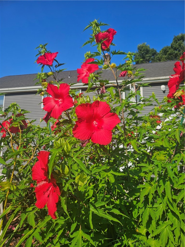 7 Taylor Road Johnston, RI 02919 - Photo 42 of 49