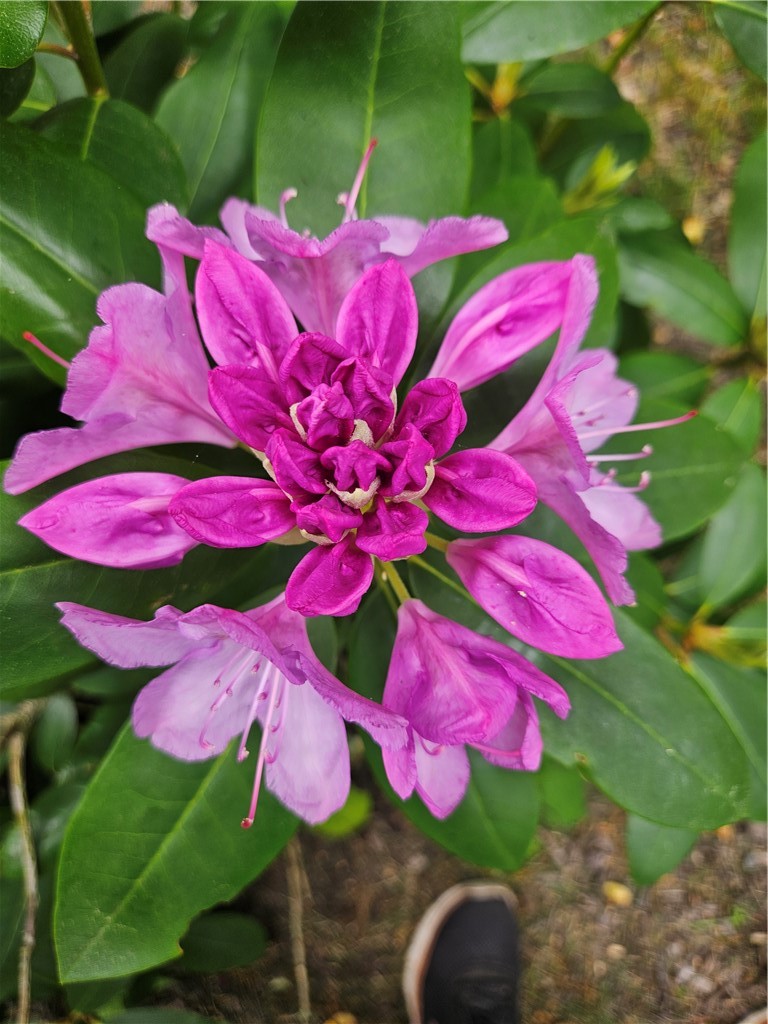 7 Taylor Road Johnston, RI 02919 - Photo 46 of 49