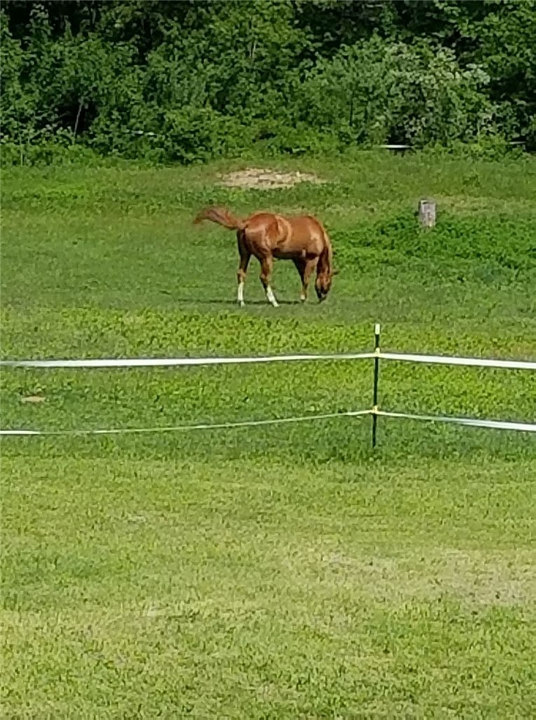 7 Taylor Road Johnston, RI 02919 - Photo 47 of 49