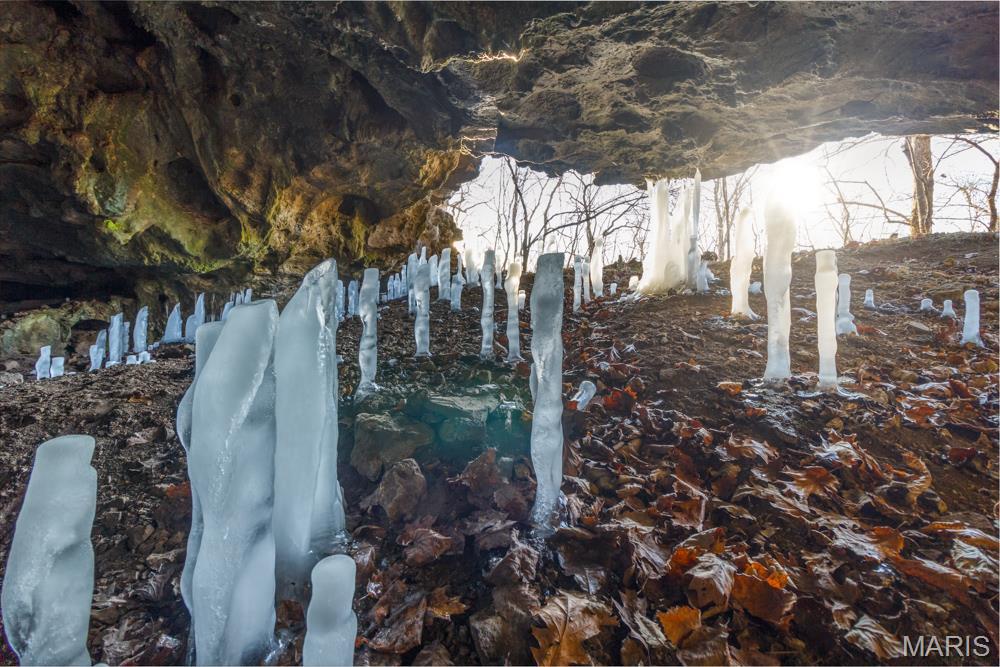 0 Red Oak Road Waynesville, MO 65583 - Photo 20 of 22