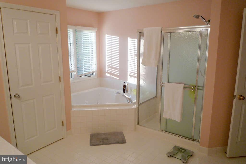 10391 Wetherburn Road Woodstock, MD 21163 - Photo 19 of 30 Bath (Master)