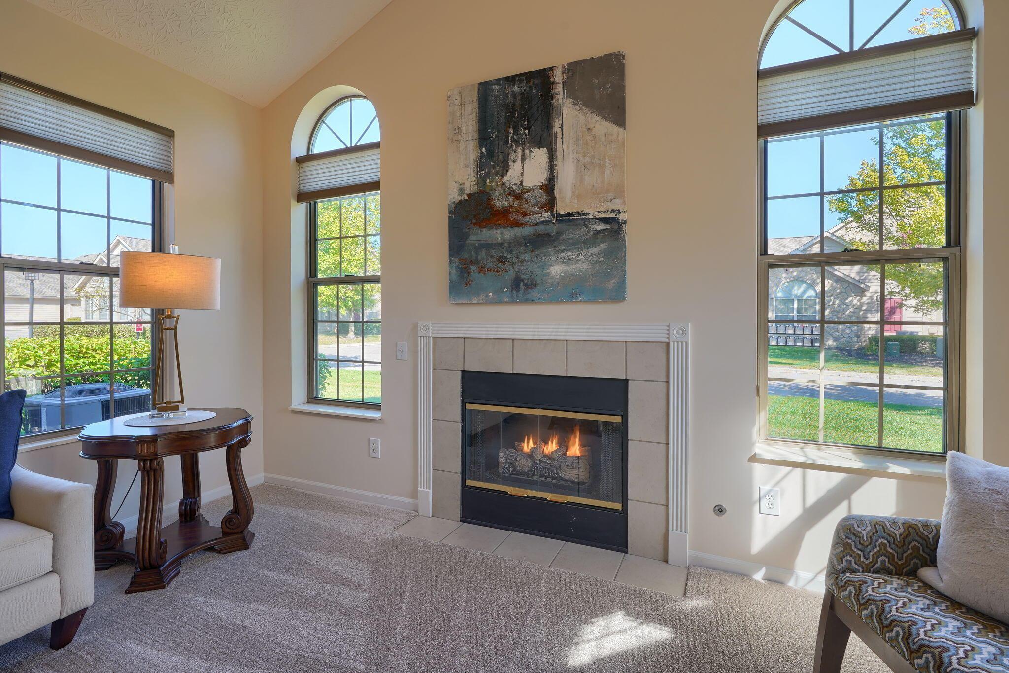 3717 Stoneway Point Powell, OH 43065 - Photo 9 of 44 Gas fireplace