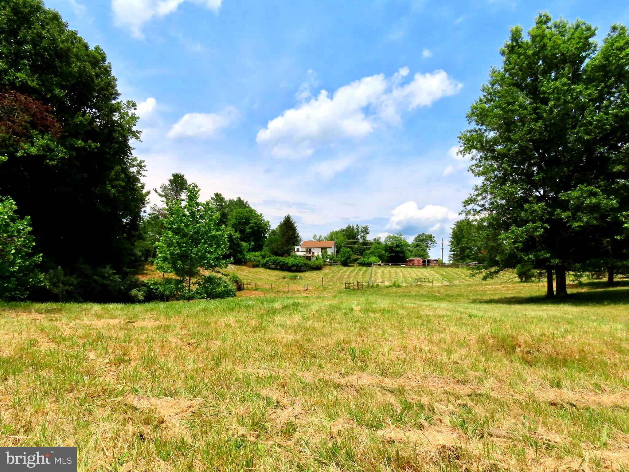 13782 Crest Hill Road Flint Hill, VA 22627 - Photo 28 of 30 View from the back of the property