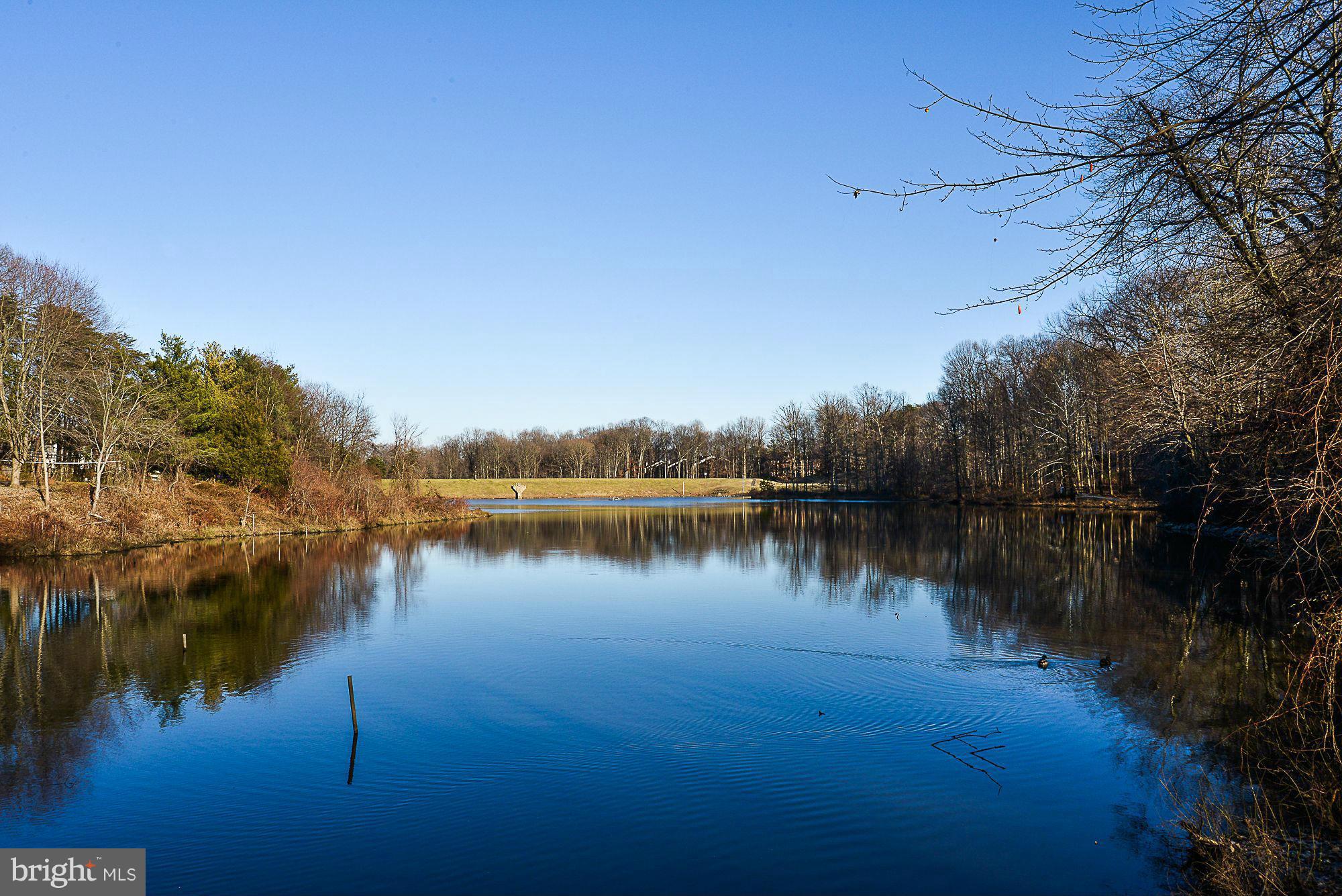 5932 Cove Landing Road, Unit 201D Burke, VA 22015 - Photo 24 of 24 a view of lake