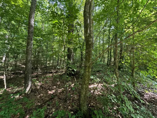 $169,900 | 3 Highway 304, Ten Mile, TN 37880