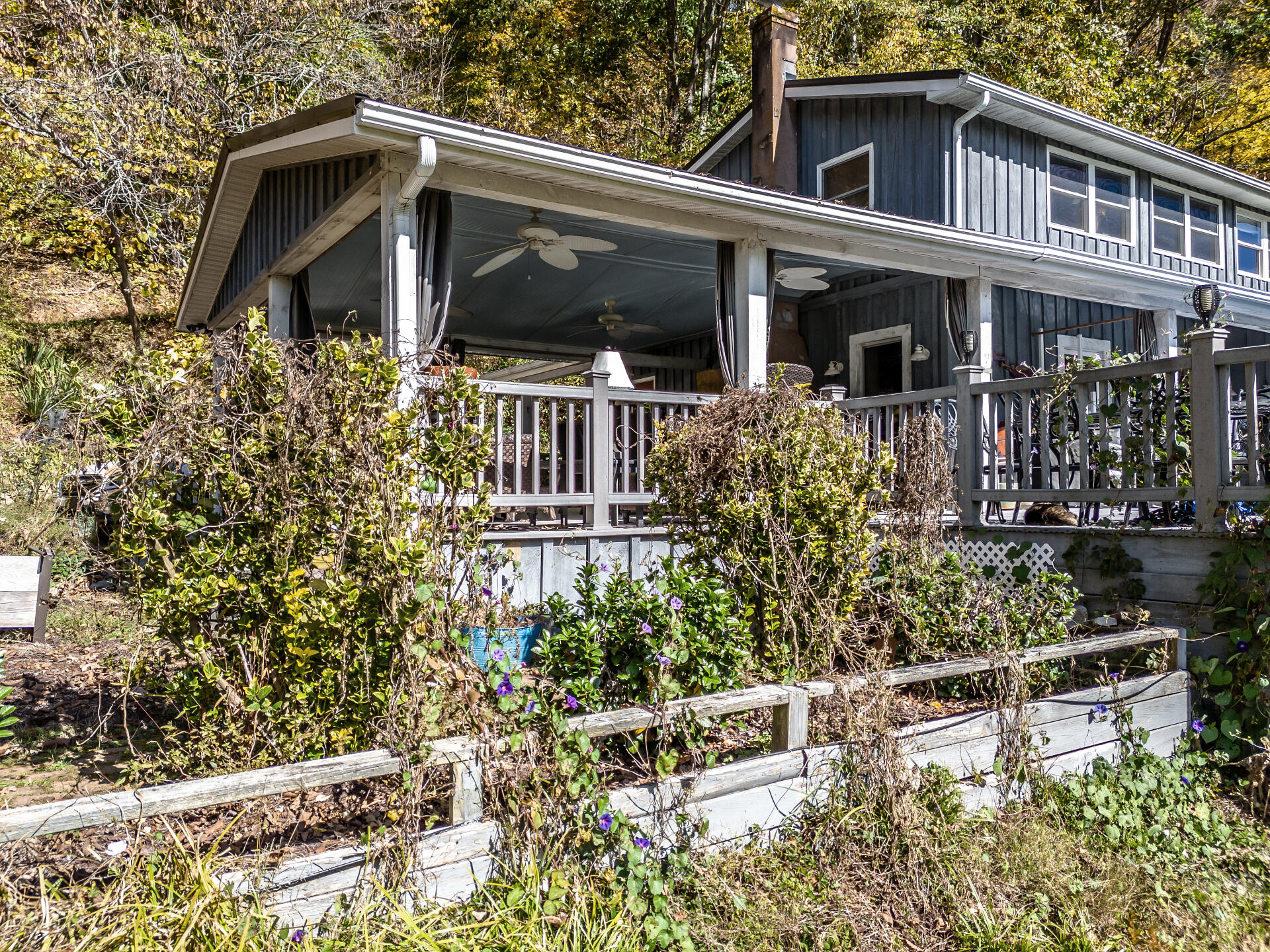 1325 Justice Road Afton, TN 37616 - Photo 62 of 66 1325JusticeC_076