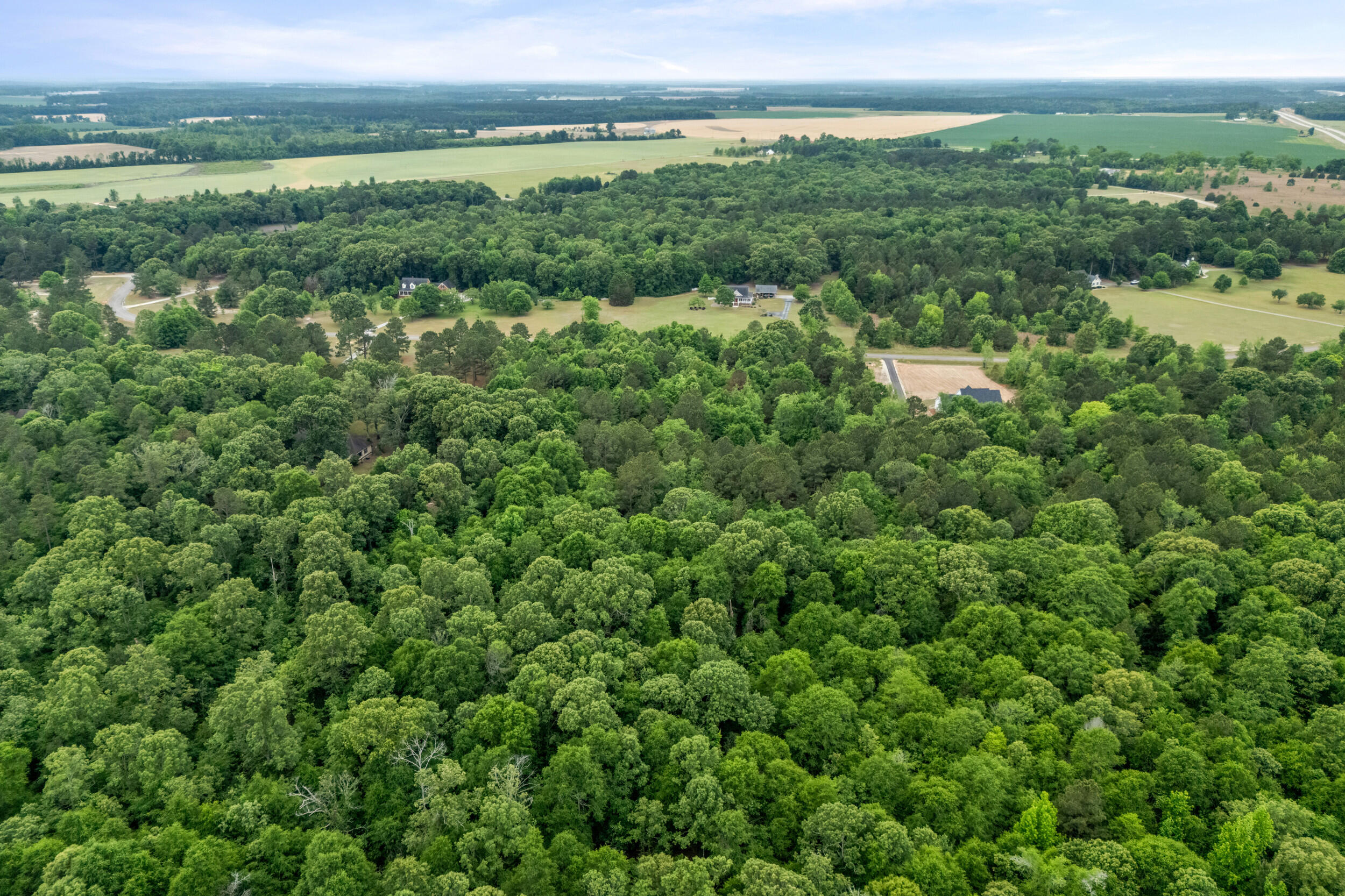 0 Sylvan Grove Road Stapleton, GA 30823 - Photo 12 of 20 2026-05-01_sylvan_grove_rd-srm-12