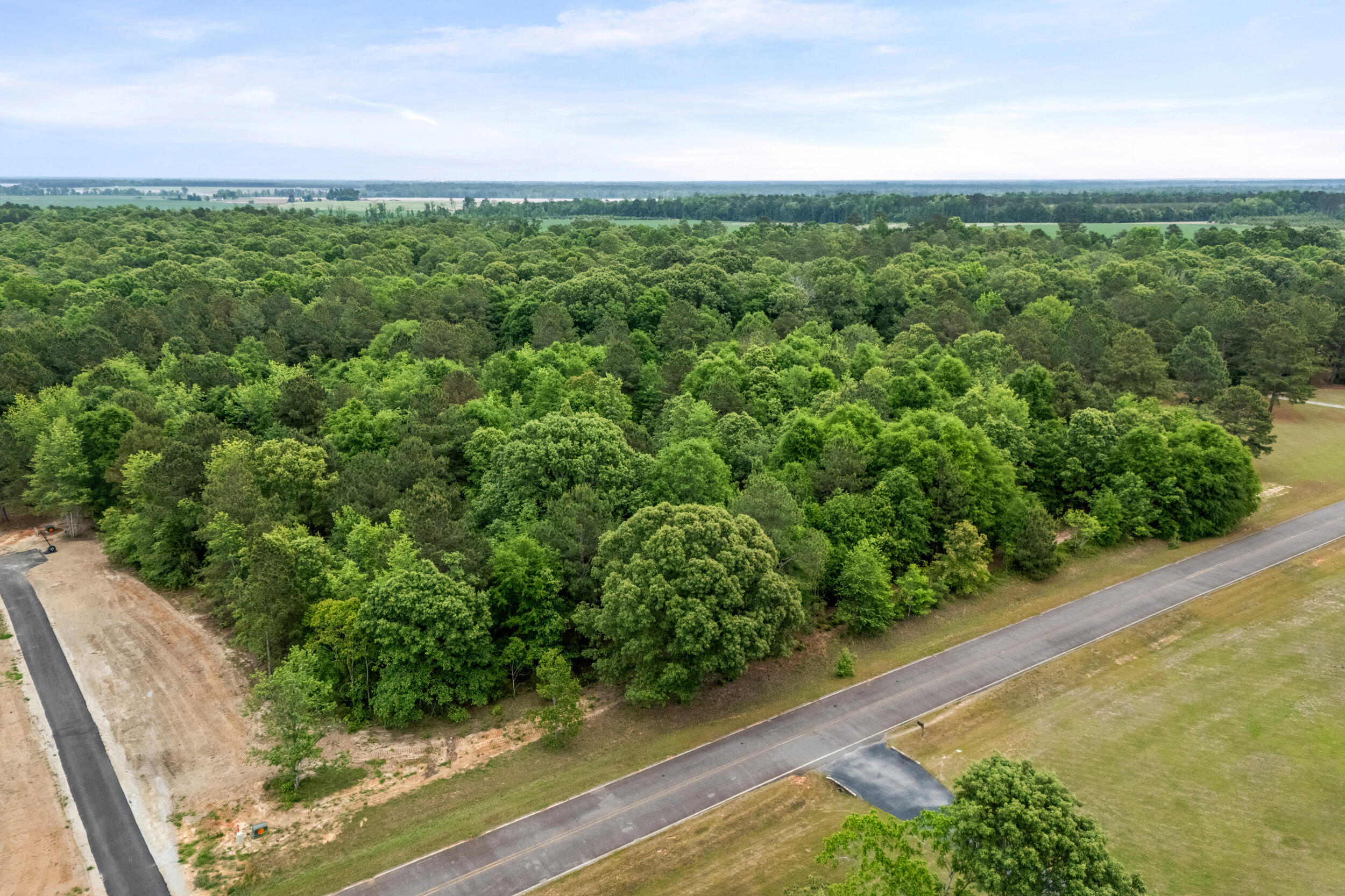 0 Sylvan Grove Road Stapleton, GA 30823 - Photo 4 of 20 2026-05-01_sylvan_grove_rd-srm-04