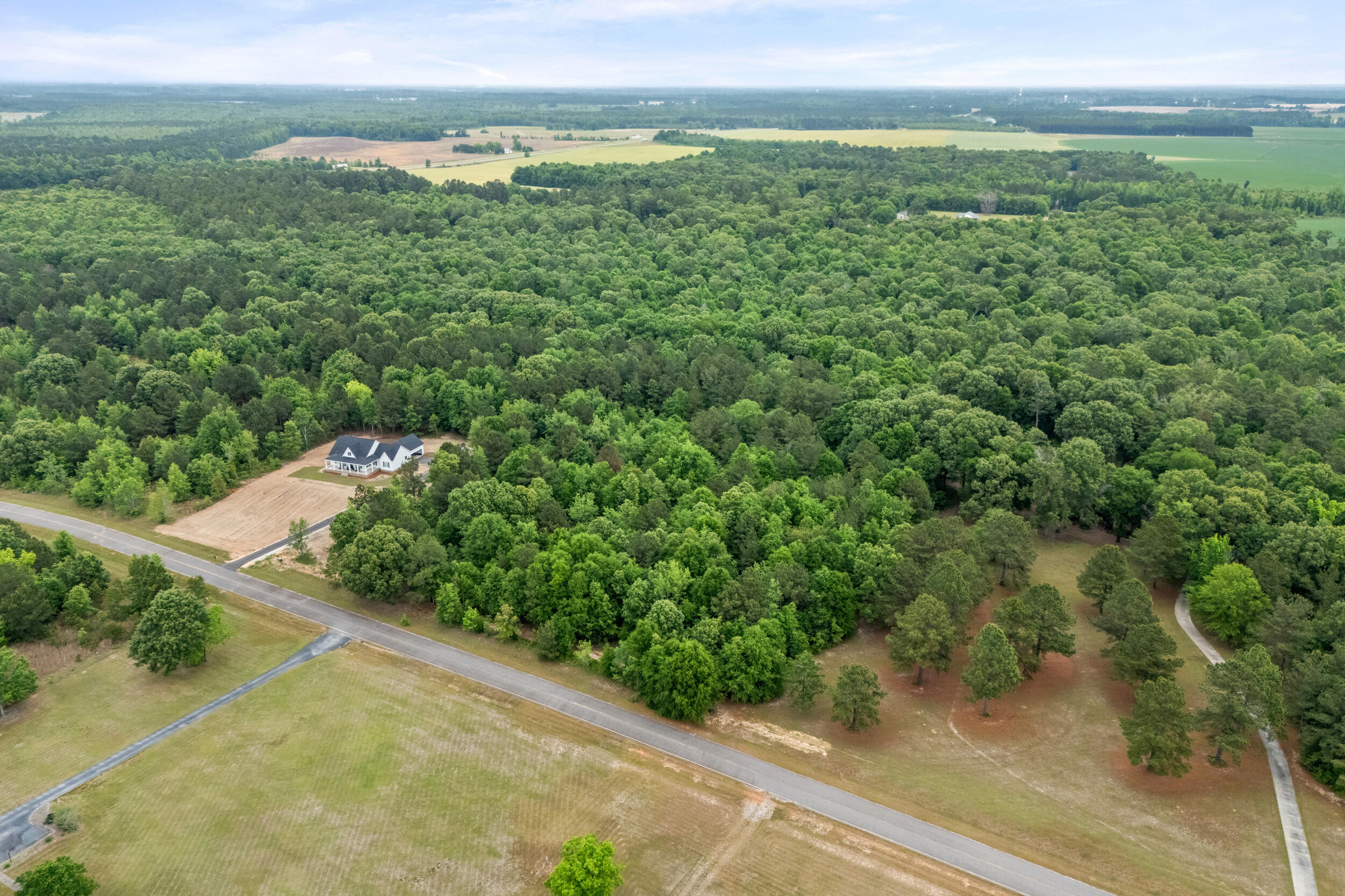 0 Sylvan Grove Road Stapleton, GA 30823 - Photo 7 of 20 2026-05-01_sylvan_grove_rd-srm-09