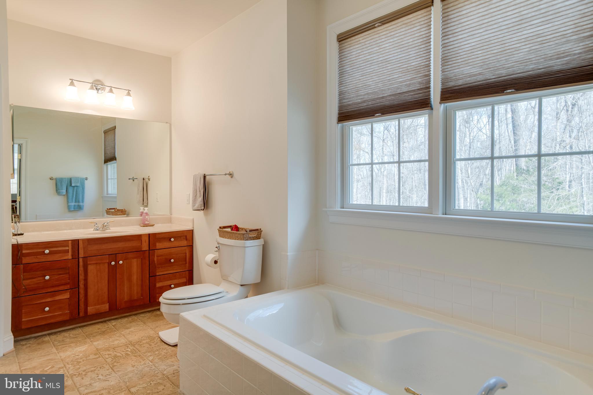 3279 Ridgeview Road Reva, VA 22735 - Photo 29 of 87 a spacious bathroom with a tub sink vanity and mirror