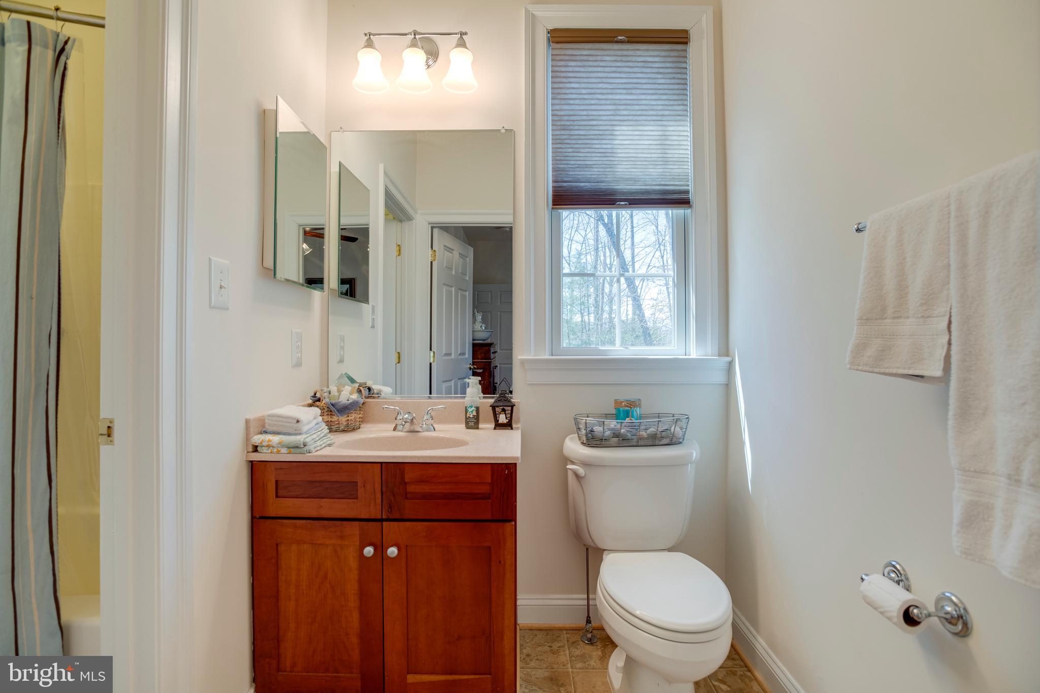 3279 Ridgeview Road Reva, VA 22735 - Photo 38 of 87 a bathroom with a toilet a sink a mirror a window and vanity