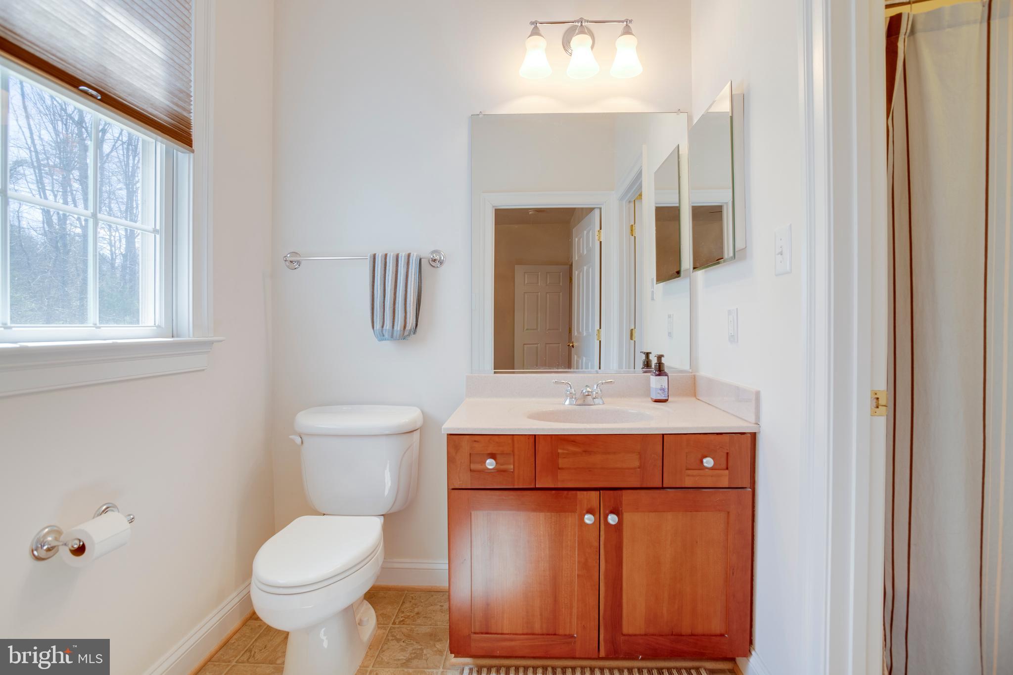 3279 Ridgeview Road Reva, VA 22735 - Photo 39 of 87 a bathroom with a sink toilet and mirror