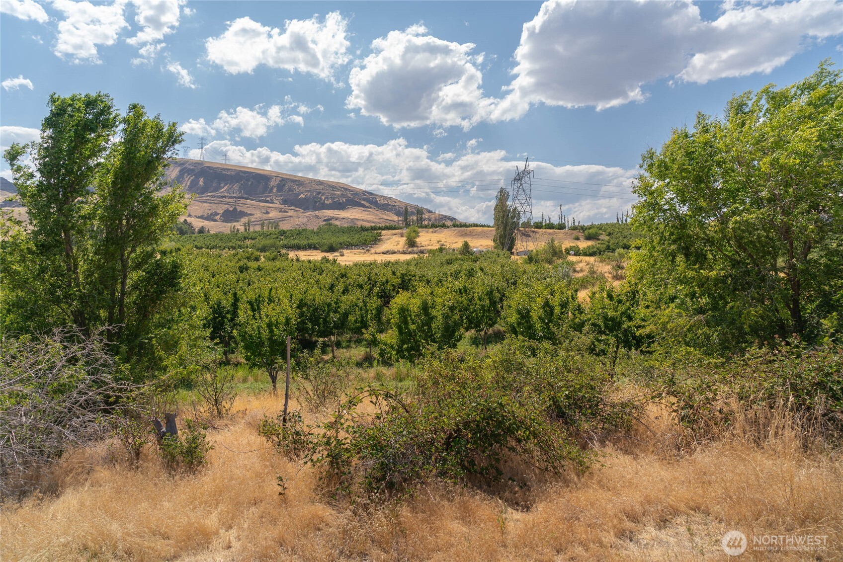 6 Tarpiscan Road Malaga, WA 98828 - Photo 3 of 5 Gallery Image 3