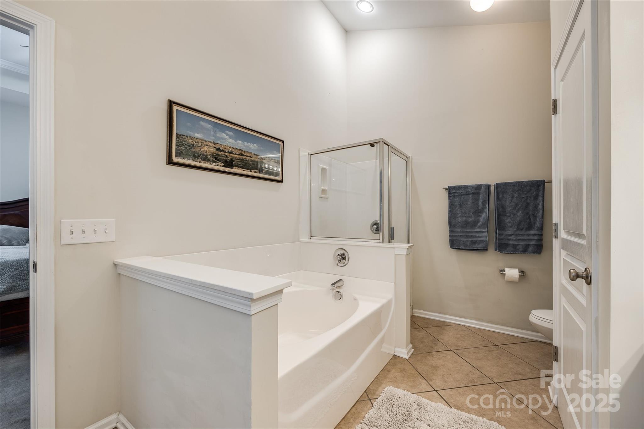 786 Petersburg Drive Fort Mill, SC 29708 - Photo 13 of 20