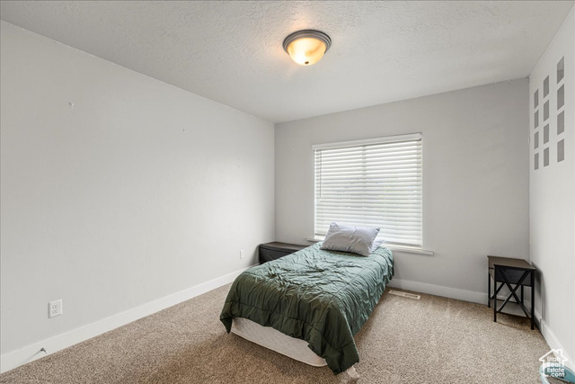 464 South Trejo Rdg Road Grantsville, UT 84029 - Photo 14 of 33 Bedroom with carpet flooring, a textured ceiling, and baseboards
