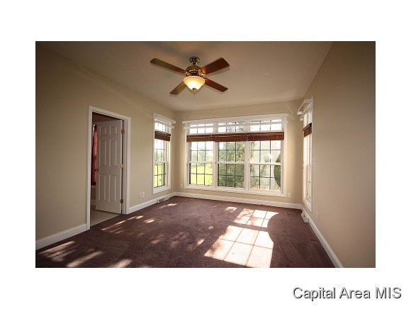 1521 East Barber Road Sherman, IL 62684 - Photo 16 of 24 Gallery Image 16