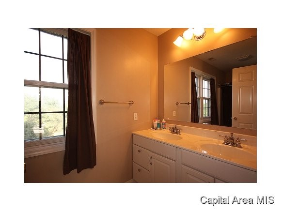 1521 East Barber Road Sherman, IL 62684 - Photo 19 of 24 Gallery Image 19