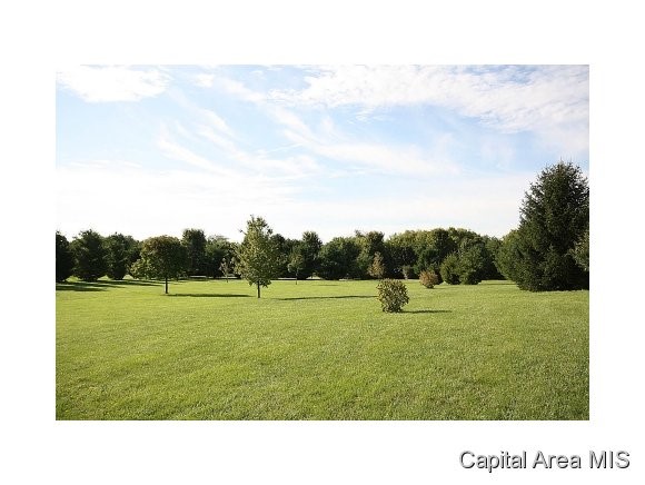 1521 East Barber Road Sherman, IL 62684 - Photo 24 of 24 Gallery Image 24