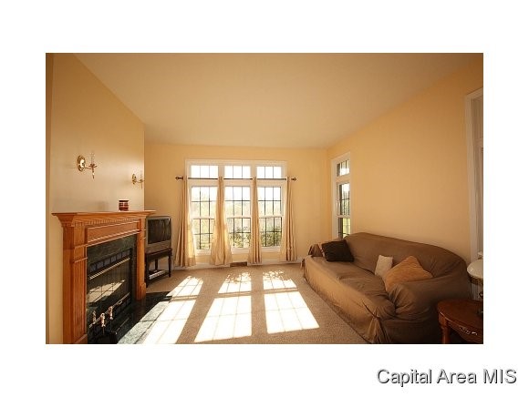 1521 East Barber Road Sherman, IL 62684 - Photo 8 of 24 Gallery Image 8
