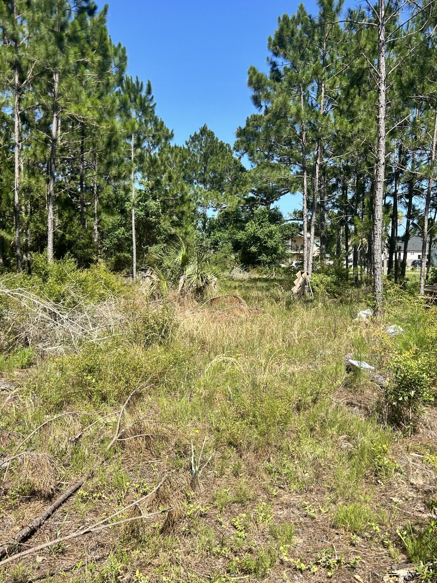 1021 Pearson Road Milton, FL 32583 - Photo 11 of 12 a backyard of a house with lots of green space