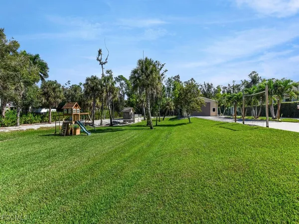 a view of a park with large trees