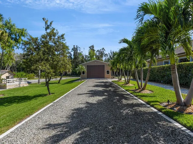a view of a park with a tree
