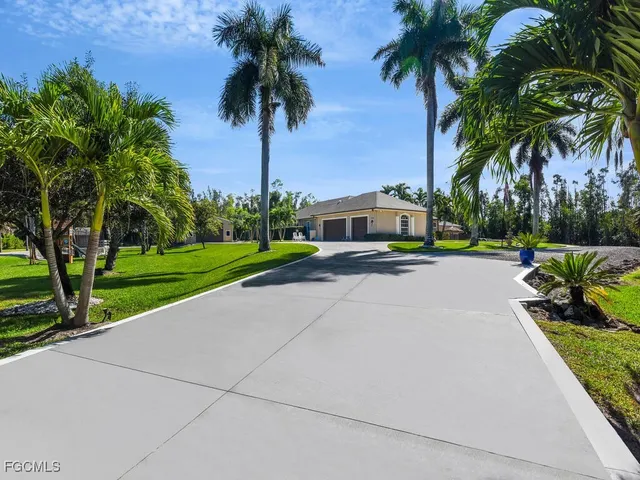 a view of a park with palm trees