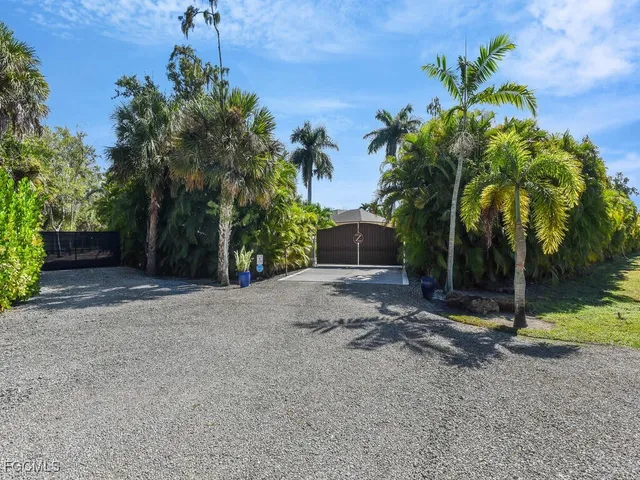 a view of a yard with palm tree