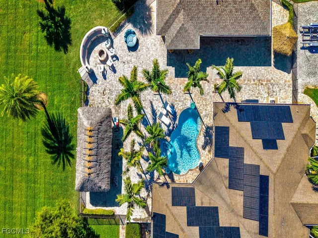 a picture of a flower in a garden