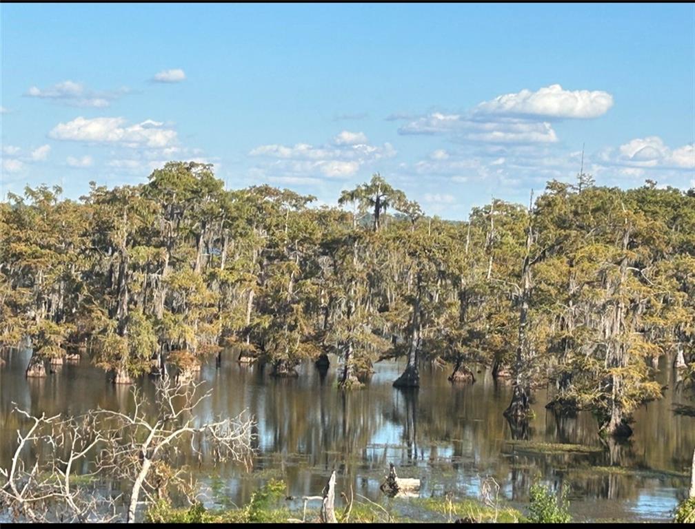 479 Sandy Point Road Campti, LA 71411 - Photo 4 of 11 Gallery Image 4
