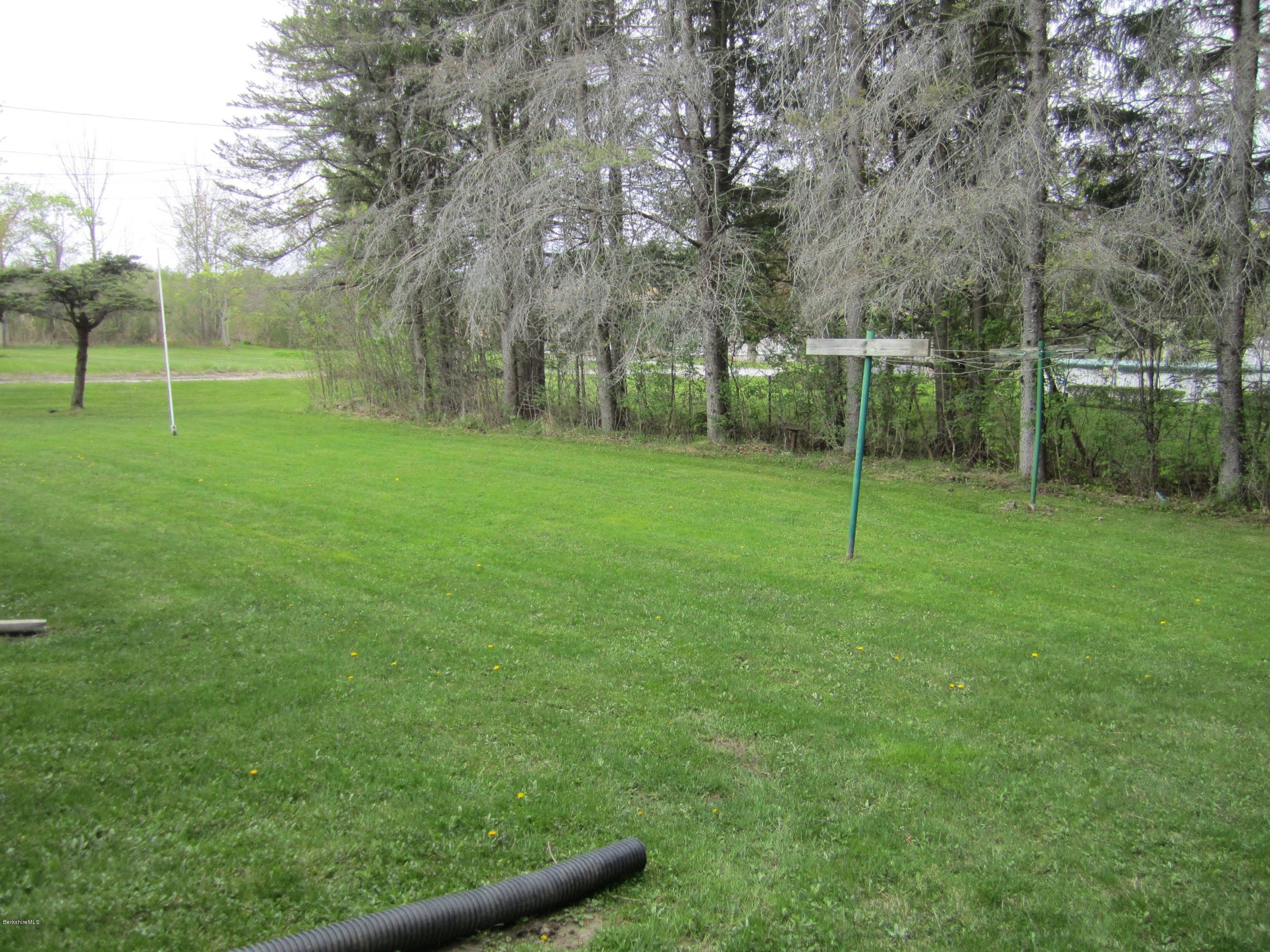 170 East Road Adams, MA 01220 - Photo 7 of 28 a view of a park with a tree