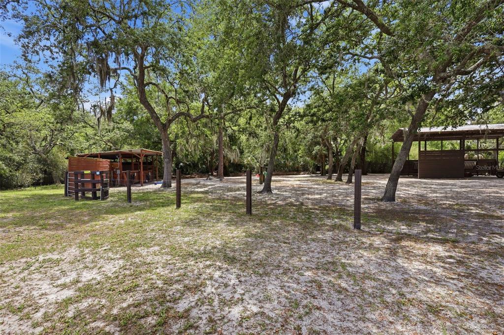 41736 Apollo Lane DeLand, FL 32720 - Photo 41 of 49 a house with trees in the background