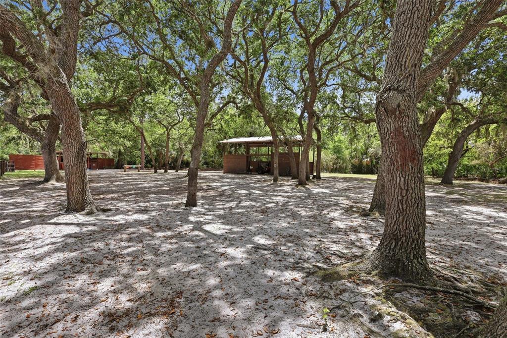 41736 Apollo Lane DeLand, FL 32720 - Photo 42 of 49 a view of a outdoor space with trees