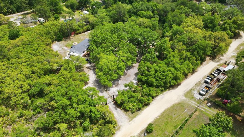 41736 Apollo Lane DeLand, FL 32720 - Photo 44 of 49 a view of a yard with plants