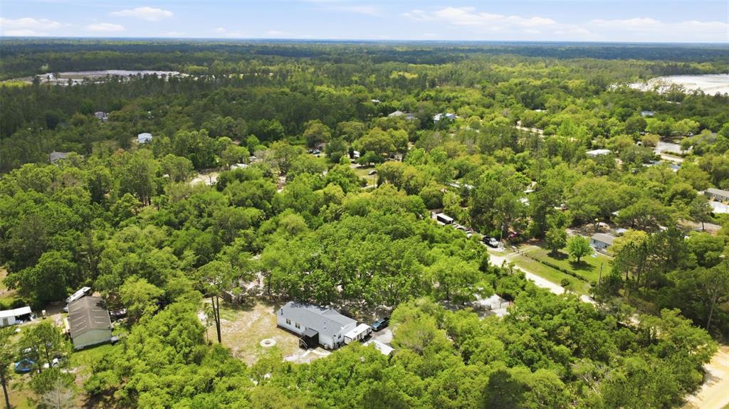 41736 Apollo Lane DeLand, FL 32720 - Photo 46 of 49 a view of a bunch of a green space