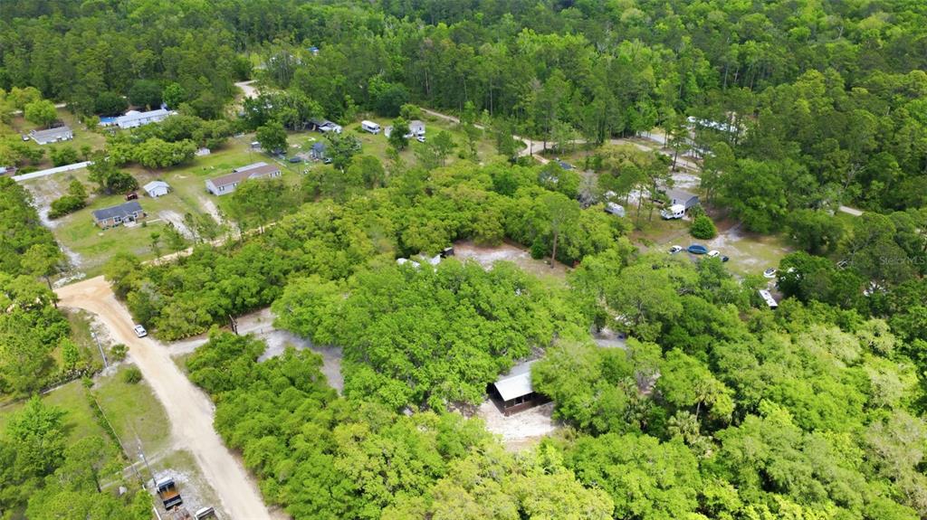 41736 Apollo Lane DeLand, FL 32720 - Photo 48 of 49 a view of a garden with plants