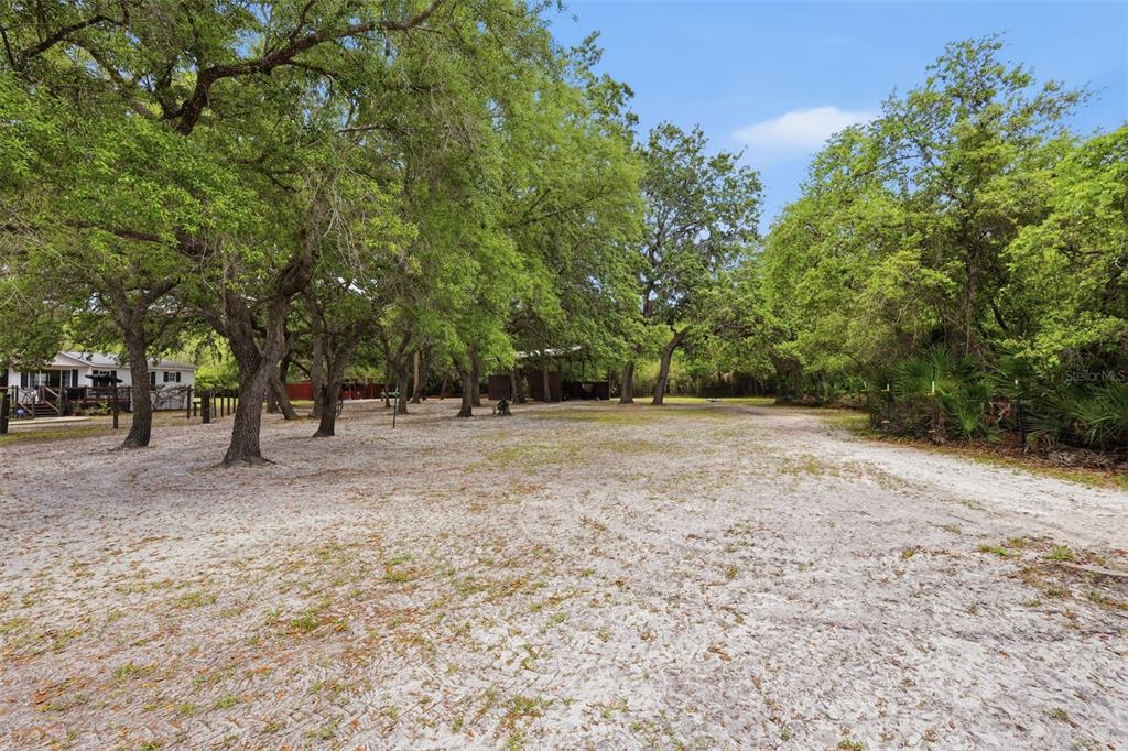 41736 Apollo Lane DeLand, FL 32720 - Photo 6 of 49 a view of outdoor space with trees