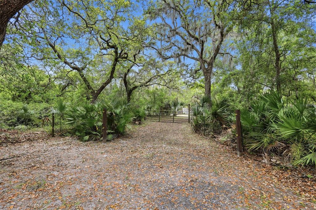 41736 Apollo Lane DeLand, FL 32720 - Photo 7 of 49 a view of a forest with trees in the background