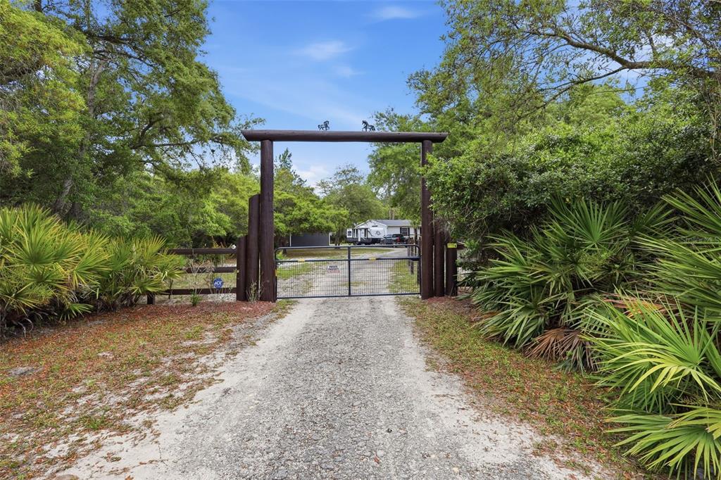 41736 Apollo Lane DeLand, FL 32720 - Photo 8 of 49 a view of a backyard with plants and a large tree