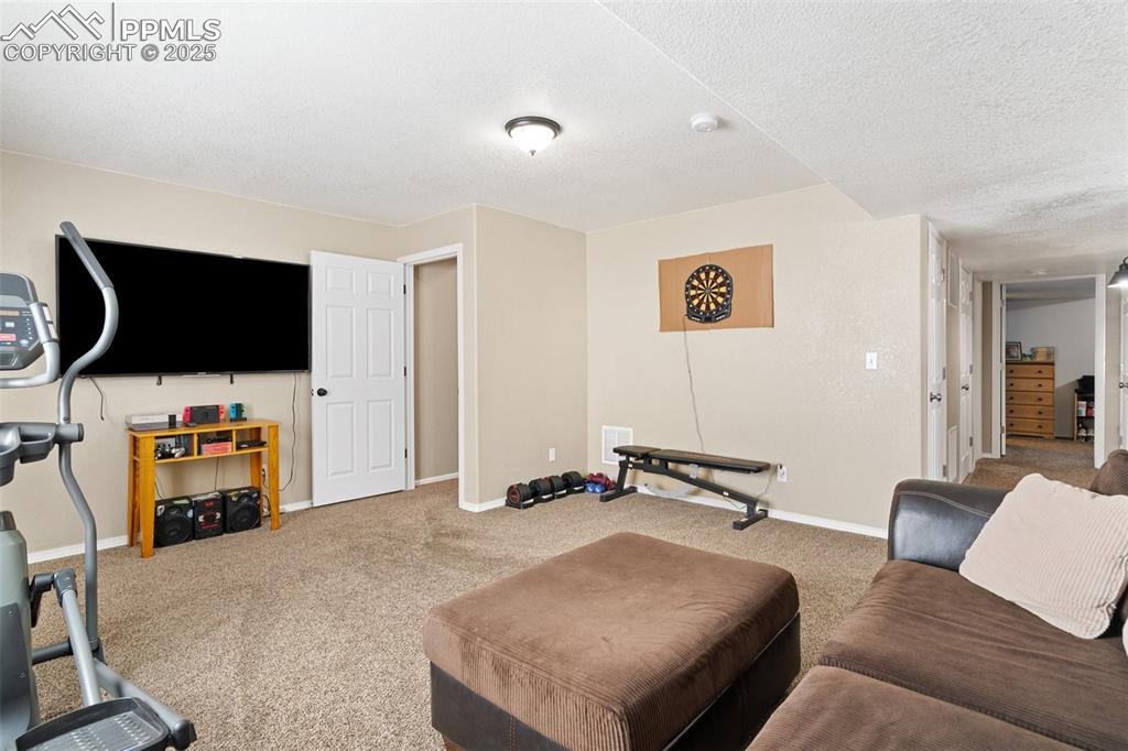 8135 Buschborn Road Peyton, CO 80831 - Photo 36 of 47 Basement rec area