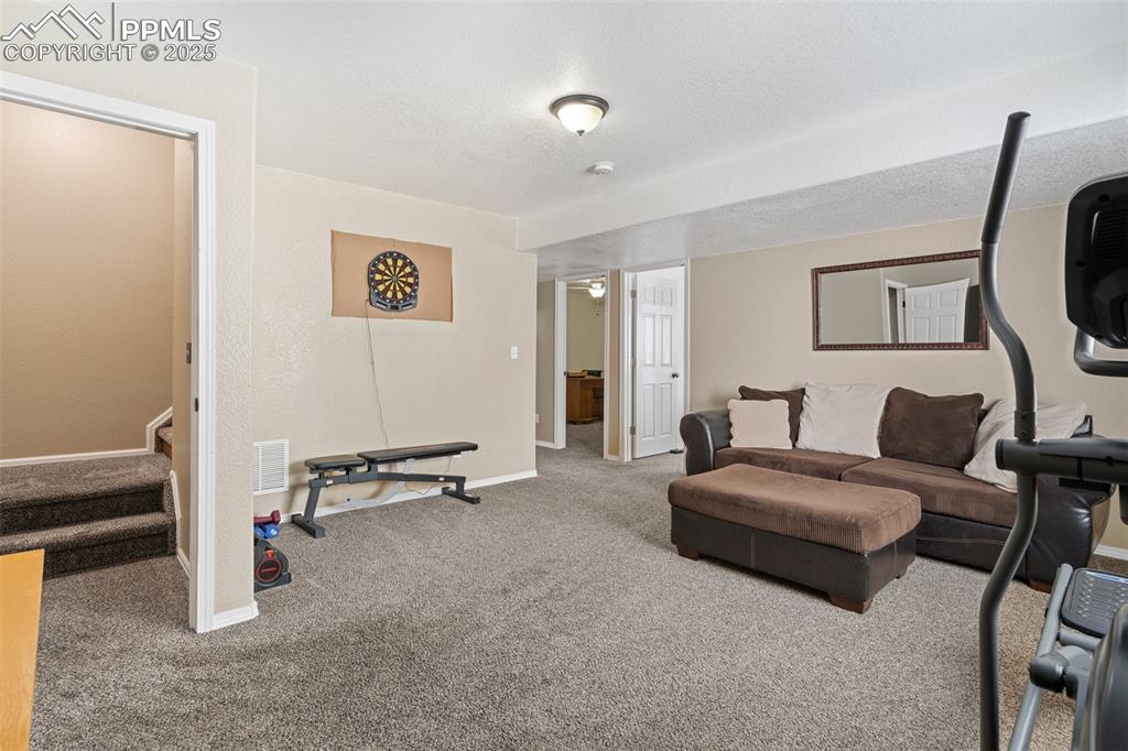 8135 Buschborn Road Peyton, CO 80831 - Photo 37 of 47 Basement rec area