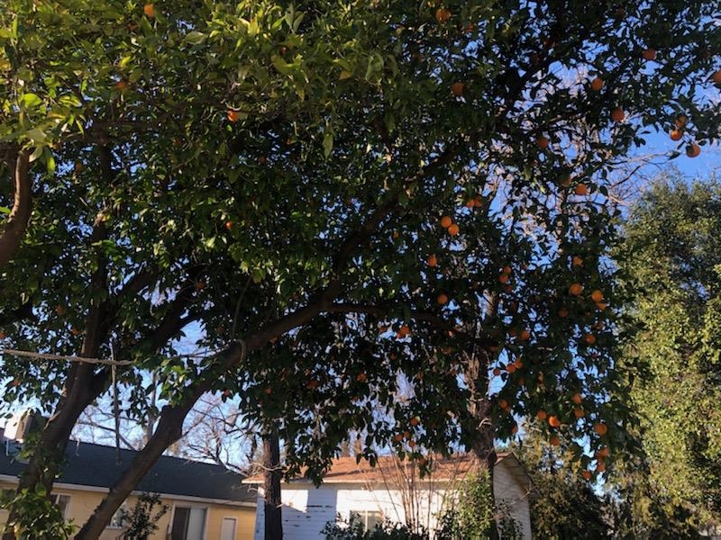375 2nd Street Gerber, CA 96035 - Photo 24 of 30