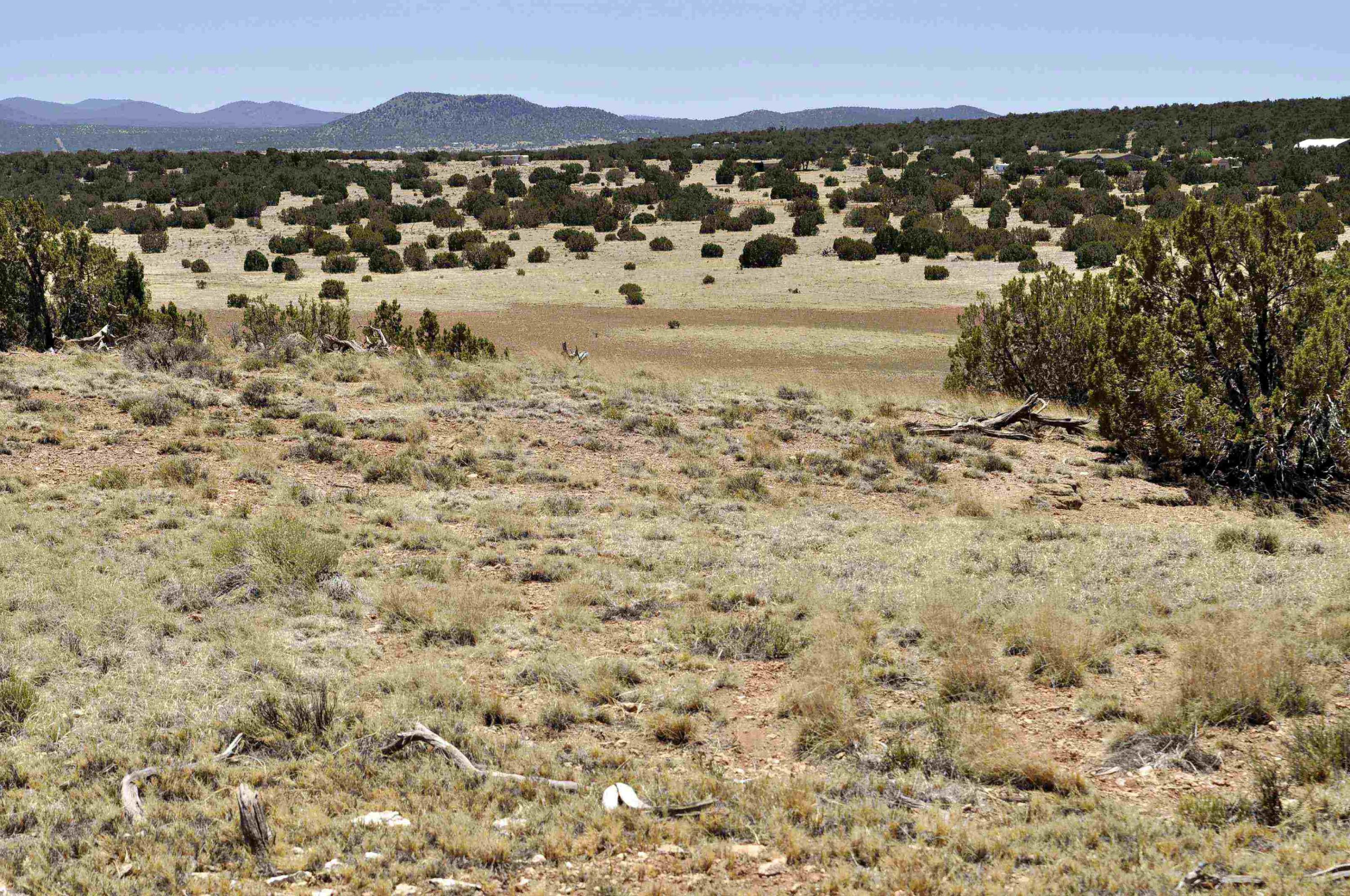 Lot 77 Pine Ridge Ranch, Unit 2 Concho, AZ 85924 - Photo 1 of 14
