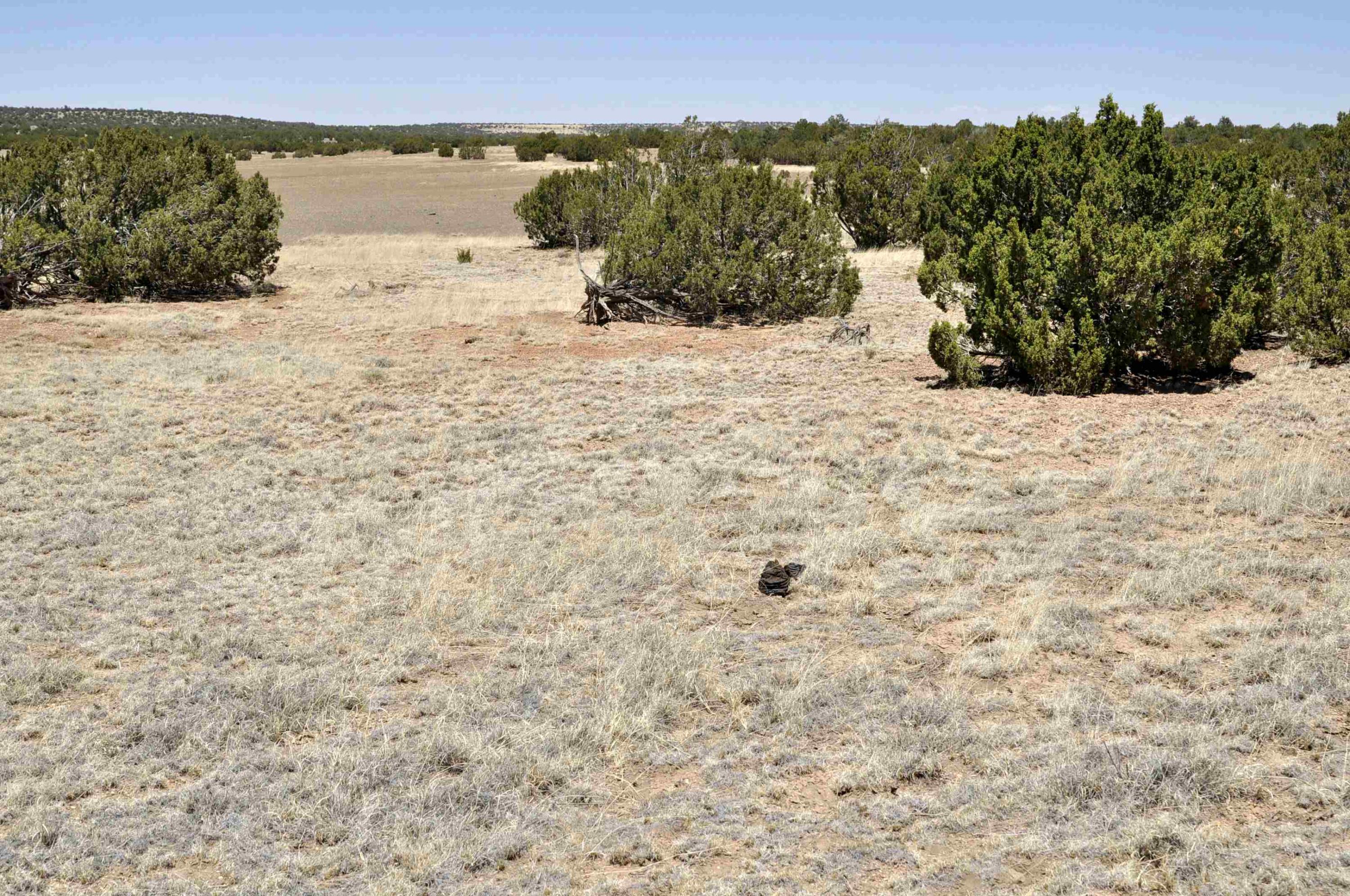 Lot 77 Pine Ridge Ranch, Unit 2 Concho, AZ 85924 - Photo 3 of 14