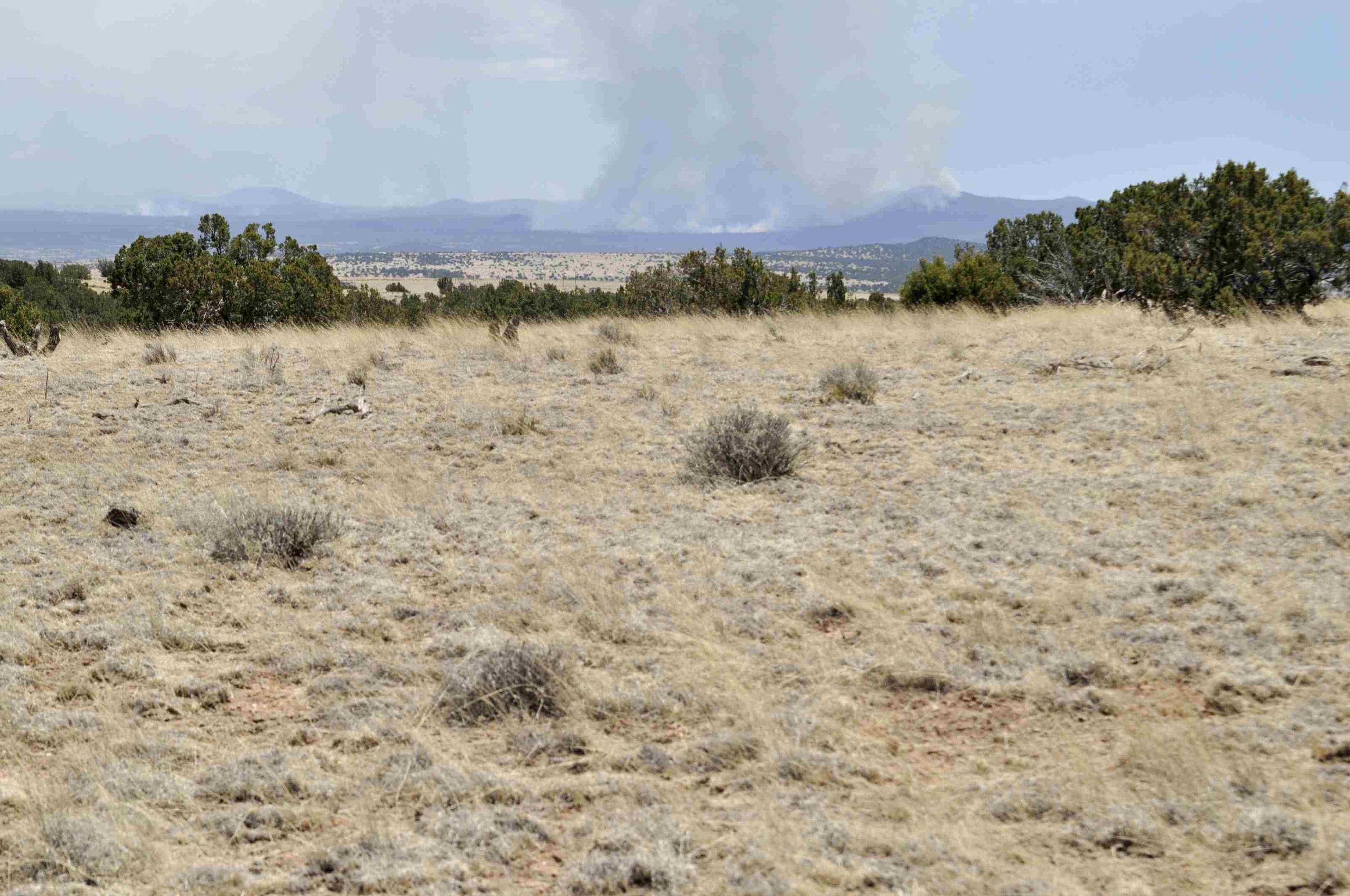 Lot 77 Pine Ridge Ranch, Unit 2 Concho, AZ 85924 - Photo 5 of 14