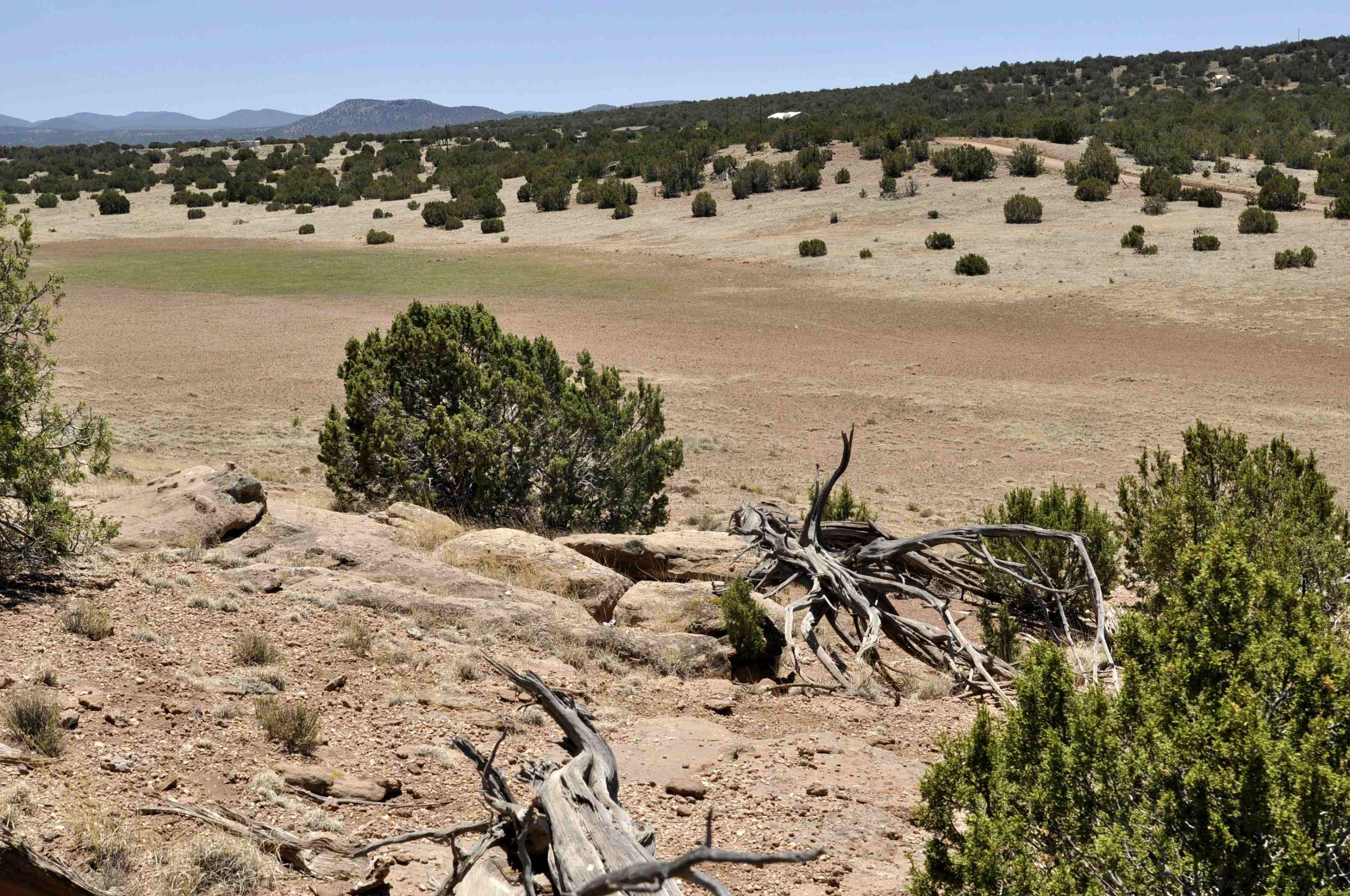 Lot 77 Pine Ridge Ranch, Unit 2 Concho, AZ 85924 - Photo 8 of 14