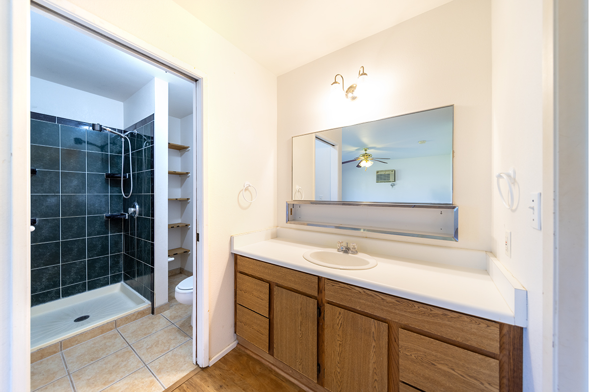 20 Naniakea Street Hilo, HI 96720 - Photo 15 of 29 a bathroom with a shower sink and mirror