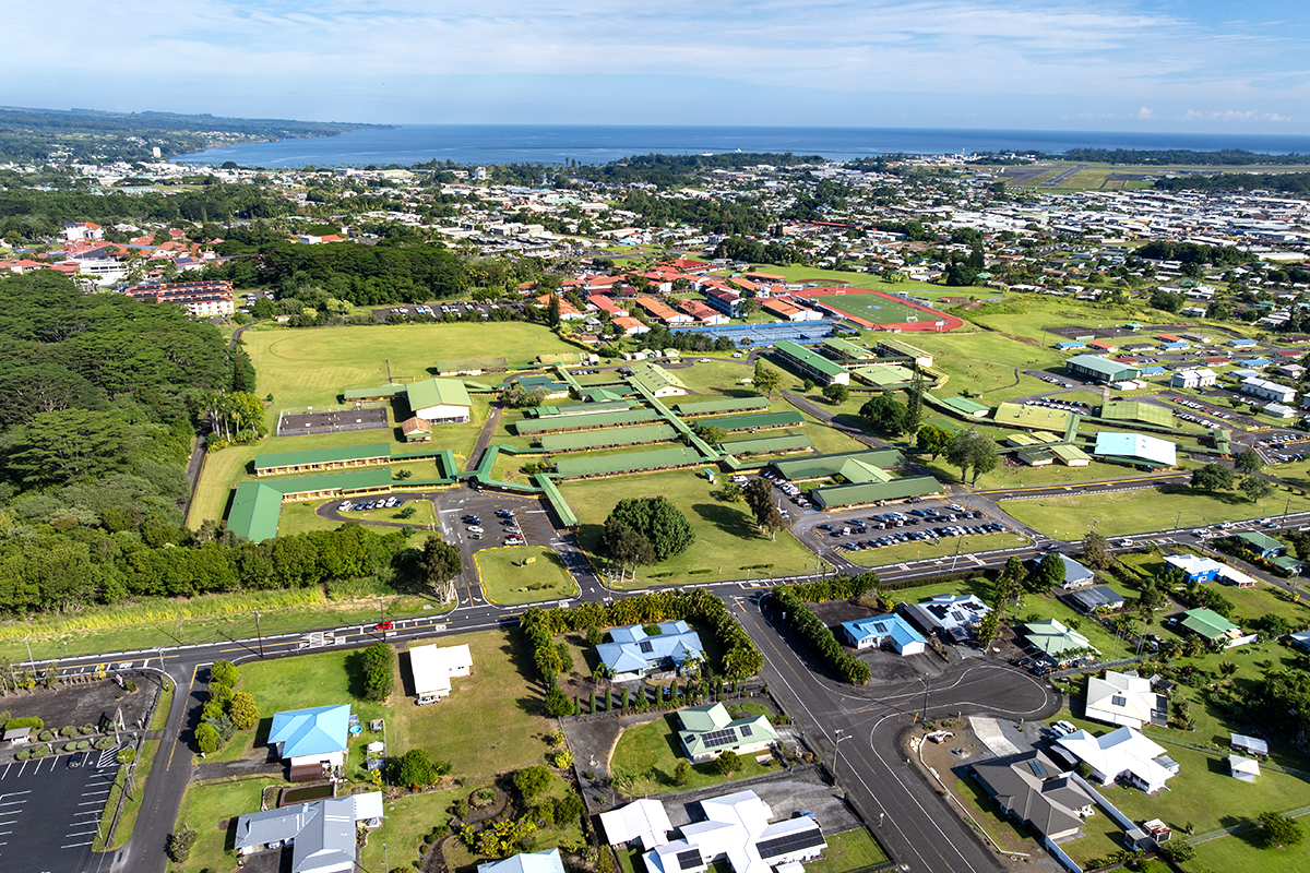 20 Naniakea Street Hilo, HI 96720 - Photo 28 of 29 an aerial view of residential houses with outdoor space